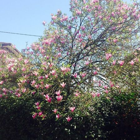 Appartement La Magnolia à Riccò del Golfo di Spezia Extérieur photo