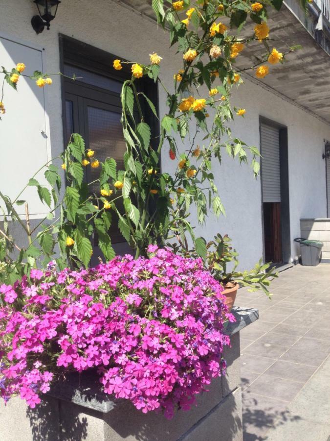 Appartement La Magnolia à Riccò del Golfo di Spezia Extérieur photo