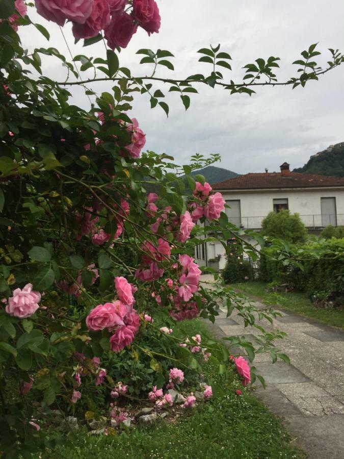 Appartement La Magnolia à Riccò del Golfo di Spezia Extérieur photo